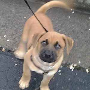 Meet your Posher, Johnnie